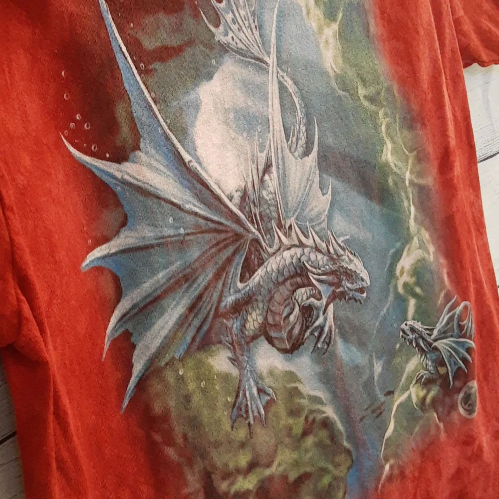 The Mountain Sea Dragons Age of Dragons 100% COTTON Graphic Tee Adult M RED - Picture 2 of 9
